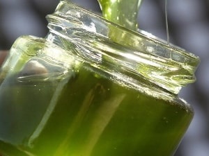 Зелений мед корисні властивості і особливості продукту