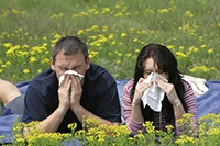 Як боротися з алергією традиційне лікування і народні методи, блоги