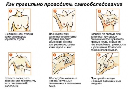 Узі молочних залоз коли краще робити, на який день циклу, що показує, розшифровка і норма