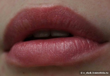 Фруктовий сад або блиски для губ від eveline cosmetics fruit garden mega shine volume lip gloss -