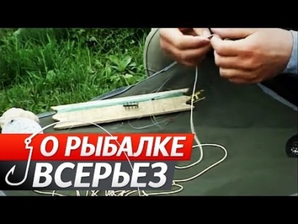 Як ловити машину, що потрібно знати, відправляючись в подорож автостопом