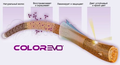 Крем-фарба для волосся colorevo (selective professional)