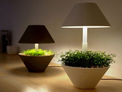 Лампи для рослин (для вирощування в домашніх умовах) як вибрати