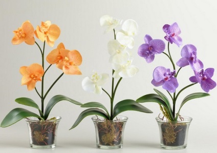Лампи для вирощування рослин в домашніх умовах огляд різновидів
