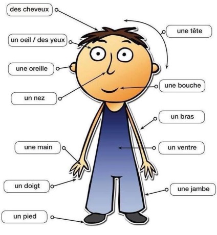 Алфавіт для дітей і дорослих вчимо французьку мову легко!