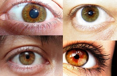 Горіховий колір очей макіяж і тіні, фото і відео