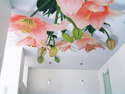 Натяжні стелі з фотодруком своїми руками, 3д зразки квіти, метелики (інструкція, фото і відео)