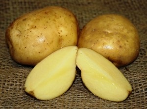 Посадка картоплі частками бульби для збільшення врожайності