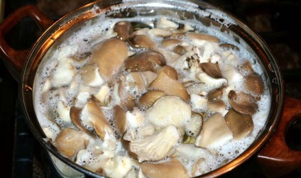 Білі мариновані гриби на зиму рецепти без стерилізації, як замаринувати в банках
