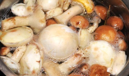 Білі мариновані гриби на зиму рецепти без стерилізації, як замаринувати в банках