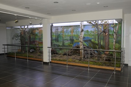 Музей природи - Березинський заповідник