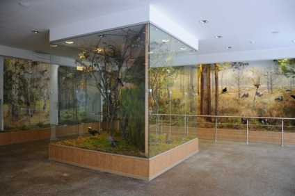 Музей природи - Березинський заповідник
