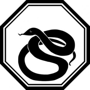 Чоловік скорпіон в рік змії - астрологія для професіоналів