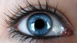 Наші очі, розріз очей, колір очей