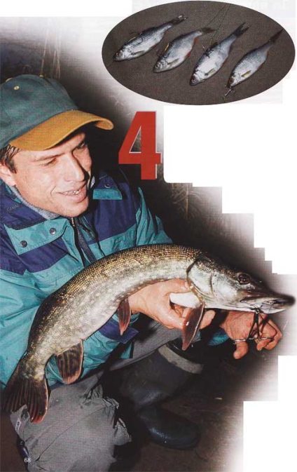 Оснащення на щуку способи насадження живця - снасті - статті про риболовлю