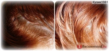 Поживна сироватка для всіх типів волосся faberlic серії salon care - «реакція схильних до жирності