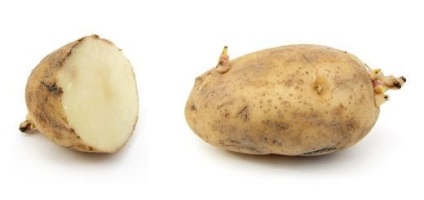 Посадка навесні картоплі