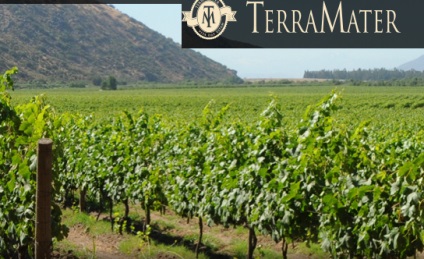Terramater late harvest - терраматер Лейт хавест, вина чилі, чилійські вина, купити вино з доставкою
