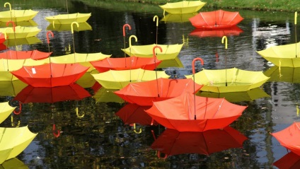 10 Ідей, чим зайнятися в дощовий літній вихідний