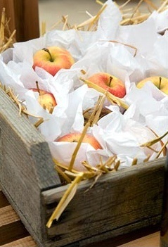 Як зберігати зимові сорти яблук
