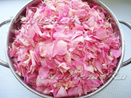 Варення з трояндових пелюсток рецепти в домашніх умовах