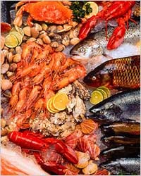 Користь морепродуктів для здоров'я