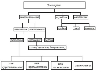Скільки частин мови в російській мові