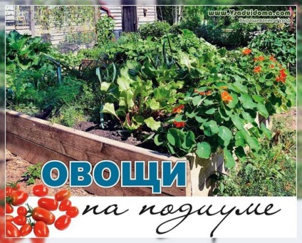 Овочевий садок на високих грядках своїми руками, сайт про сад, дачі і кімнатних рослинах