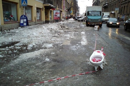 У центрі Петербурга струмом убило коня - блоги