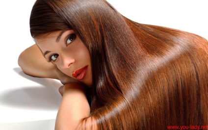 Масло для волосся види, корисні властивості, ціни, поради - жіночий журнал you lady