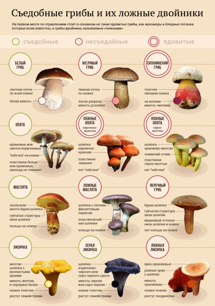 Отруєння грибами симптоми, лікування, профілактика