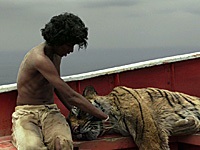 Пригодницька драма життя пі (life of pi)