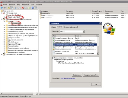 Сервер відкликання сертифікатів недоступний помилка 0x80092013 (-2146885613), настройка серверів windows і
