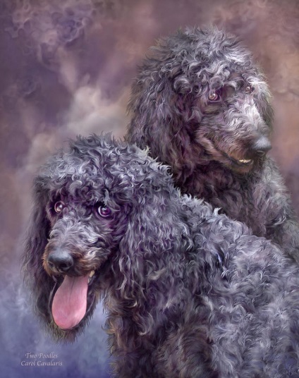 Собаки на картинах американської художниці Керол каваларіс