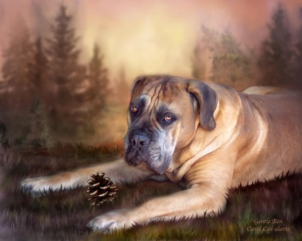 Собаки на картинах американської художниці Керол каваларіс