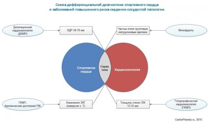 Спортивне серце особливості діагностики та тактики ведення - cardioпланета - професійна