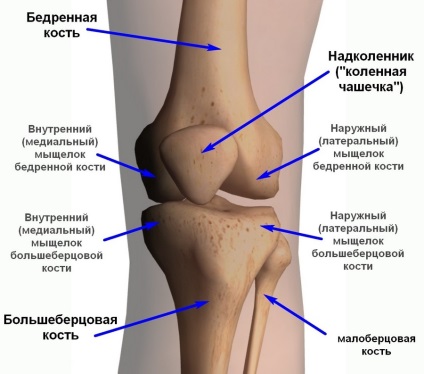 Біль при ходьбі в колінному суглобі з внутрішньої сторони