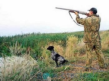Чи можна стріляти в лісі без дозволу на полювання - відповіді і поради на твої