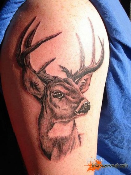 Значення татуювання олень (9 фото тату)