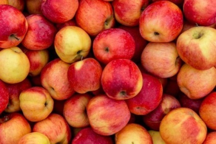 24 Несподіваних факту про фруктах і ягодах, наука і життя