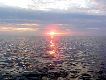 Баренцове море, найбільший портал по навчанню