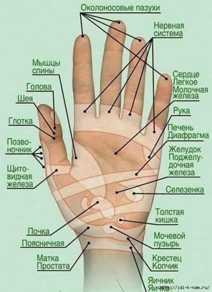 Масаж пальців рук при різних захворюваннях і станах