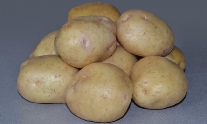 Підбираємо самі зимостійкі сорти картоплі для посадки в сибіру