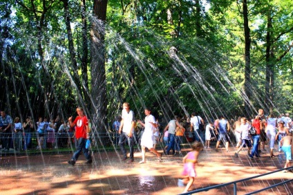 Фонтани Петергофа список, опис, відкриття, фото