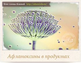 Як почистити організм в домашніх умовах продуктами харчування - кращі рецепти