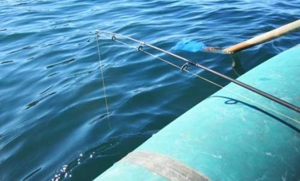 Камбала ловля камбали в море снасті для лову камбали в чорному японському морі