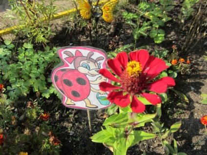 Спостереження в квітнику на ділянці дитячого саду