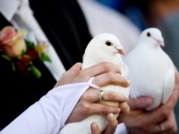 Весільні традиції та звичаї в росії
