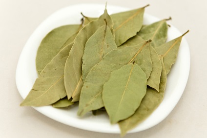 Чай з лавровим листом корисні властивості і рецепти