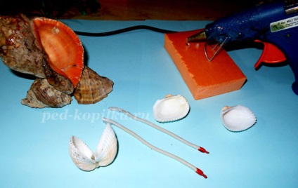 Лебеді з черепашок своїми руками майстер клас - садиба
